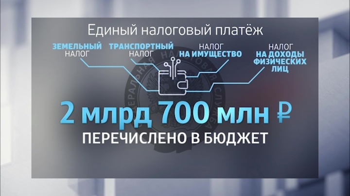 Вести налоги. Эфир налоговая программа. Налоговая грамотность в России 2020.