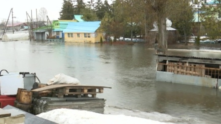 Приуралье пик паводка 14.04.24.