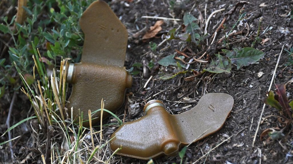 Украину обвинили в невыполнении обязательств по Конвенции о запрете противопехотных мин
