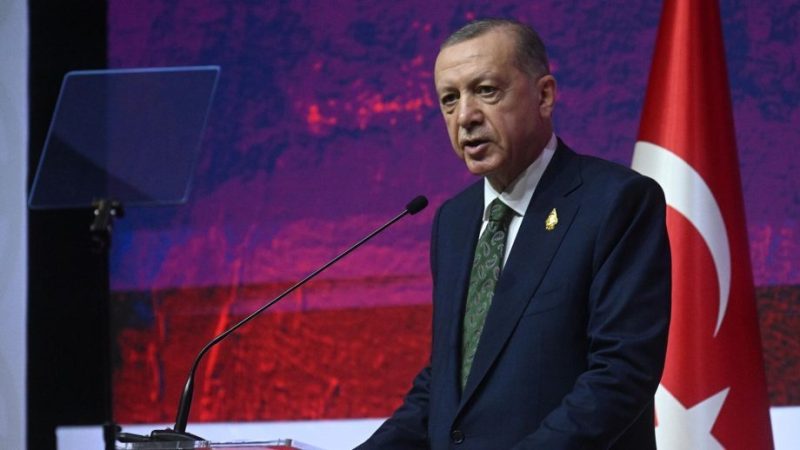Эрдоган: Запад активизировал провокации и не пытался быть посредником в кризисе на Украине
