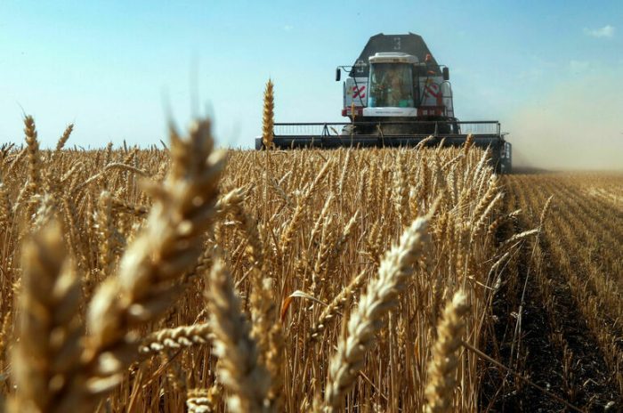 Москва задастся вопросом о смысле зерновой сделки без внесения в нее корректировок