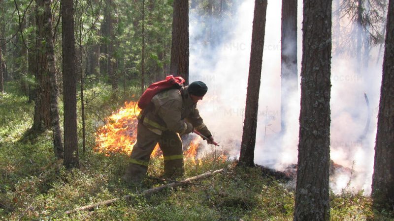 В Ханты-Мансийском автономном округе ввели режим ЧС из-за лесных пожаров
