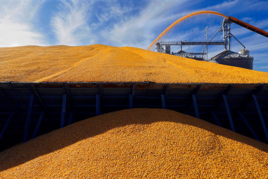 Экономисты оценили последствия срыва зерновой сделки