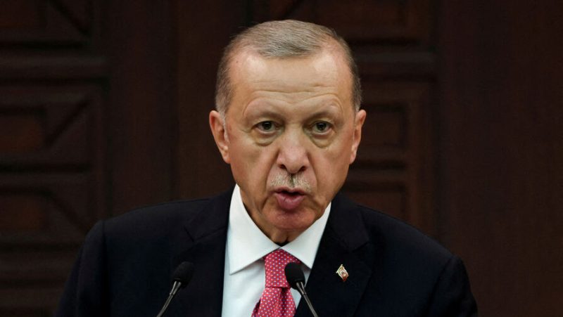Эрдоган выступил против вторжения в Нигер
