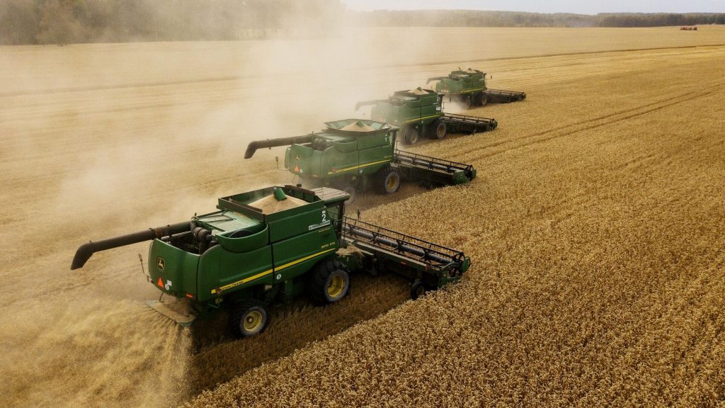 Минсельхоз предложил временно запретить вывоз твердой пшеницы